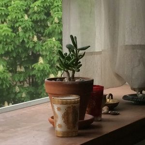 Meet your Posher, Adrian